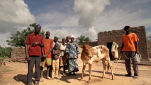 SI J'AVAIS UNE VACHE